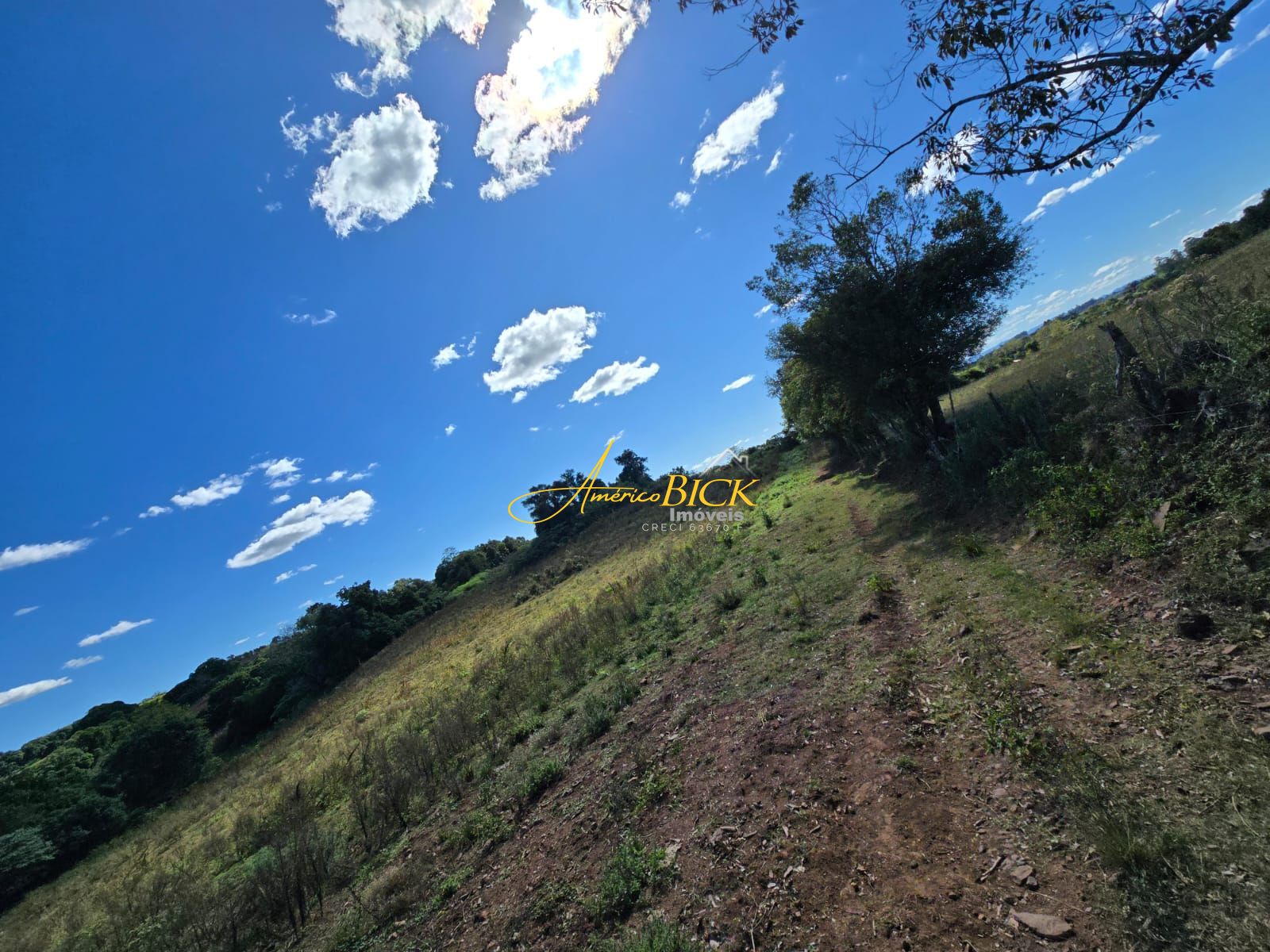 img164982397