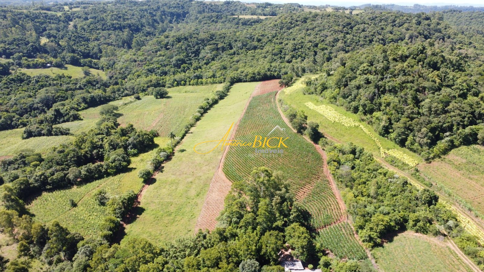 Fazenda à venda com 3 quartos, 150m² - Foto 8