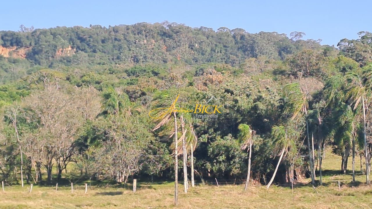 Chácara de 20000m² no bairro Pinheiral, em Santa Cruz do Sul | Eu Corretor