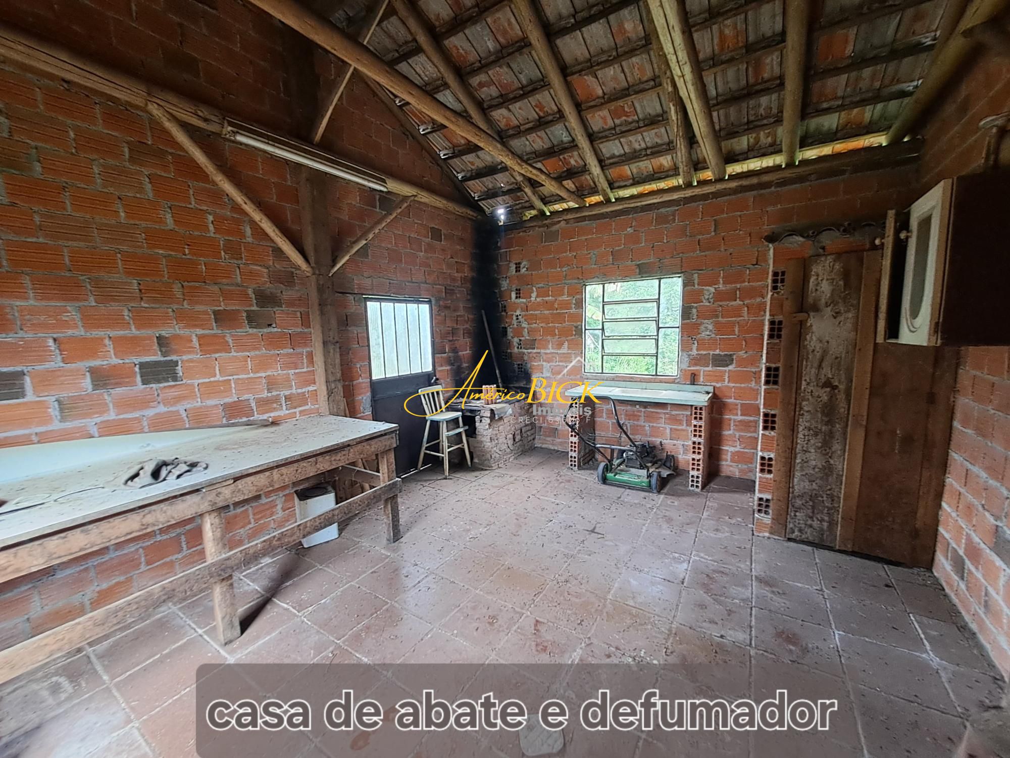 img80126636