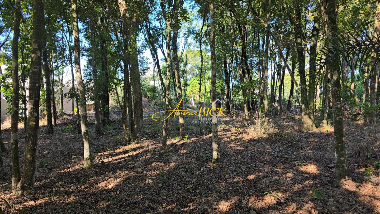 Terreno à venda, 585m² - Foto 4