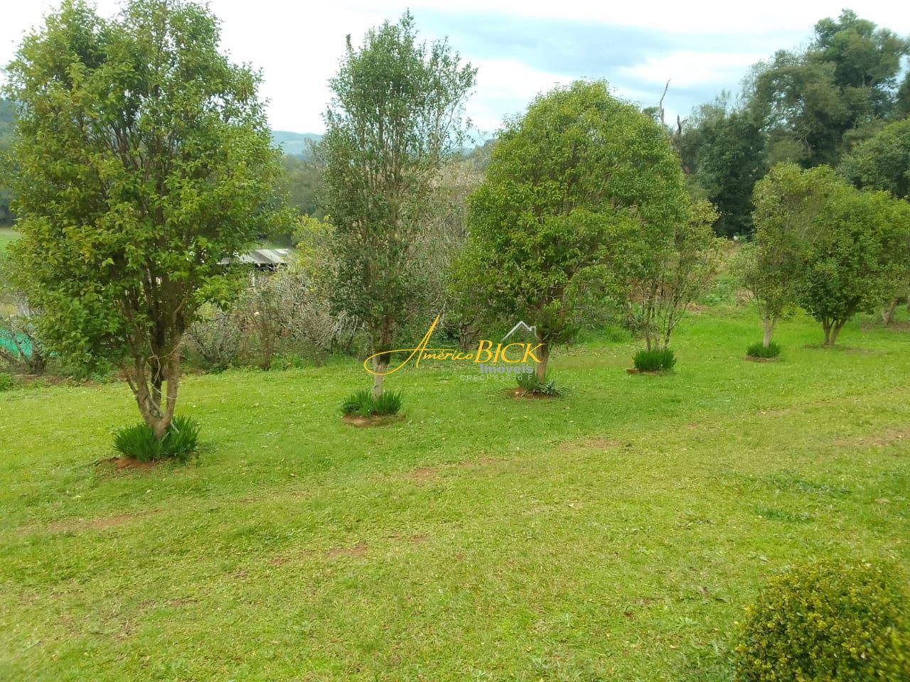 img77650584