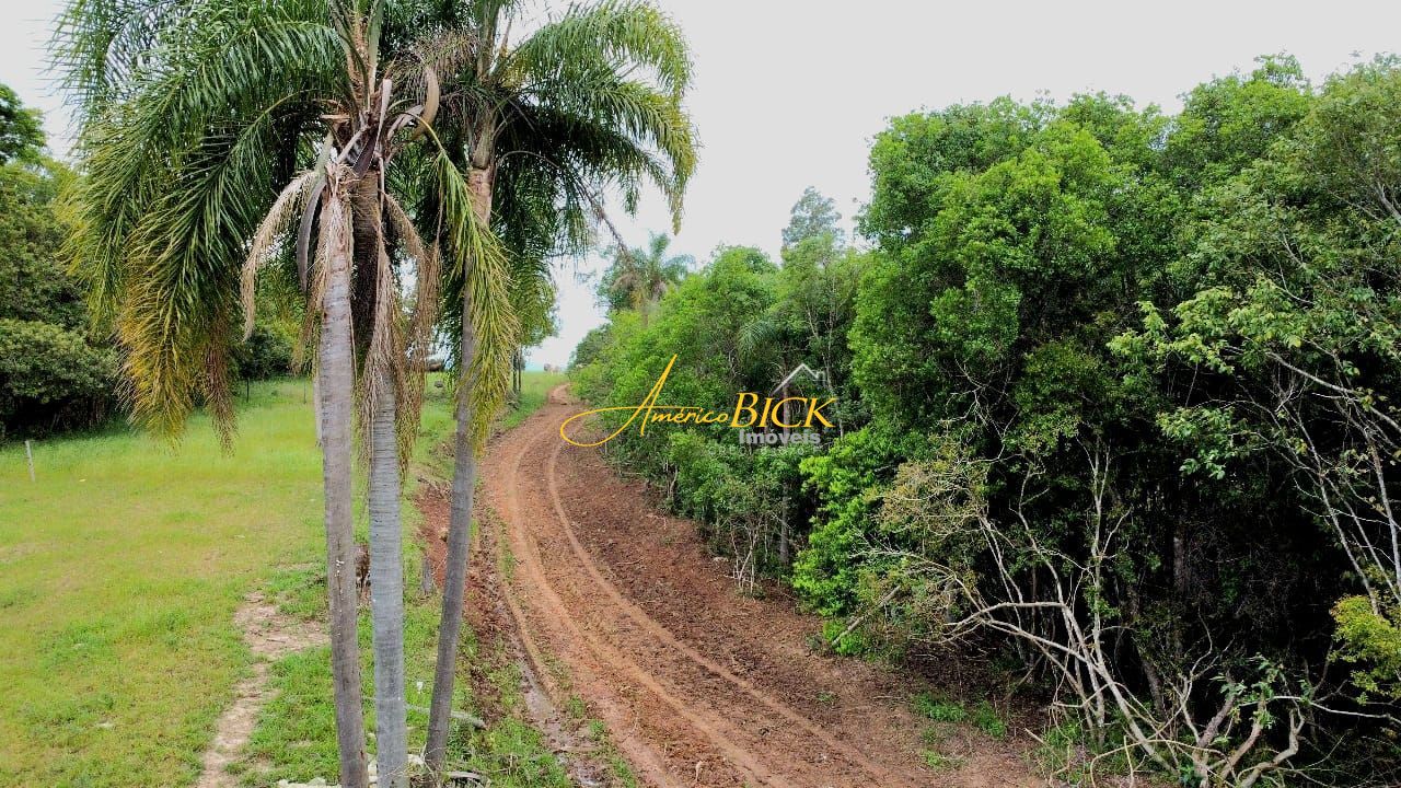 img73299541