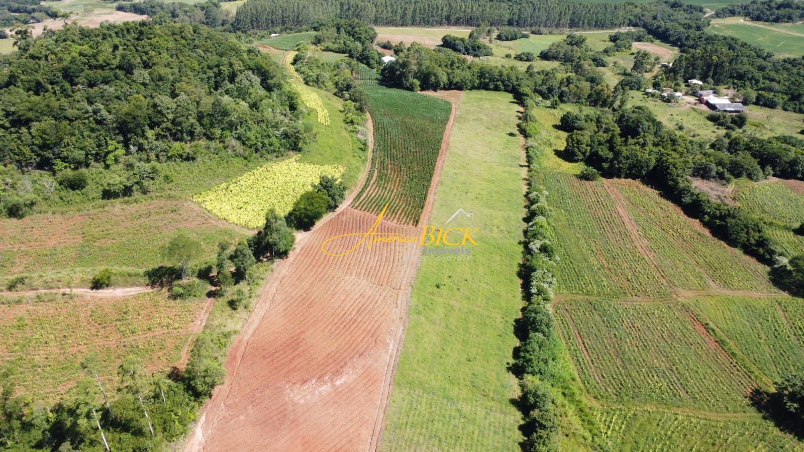 Fazenda à venda com 3 quartos, 150m² - Foto 5