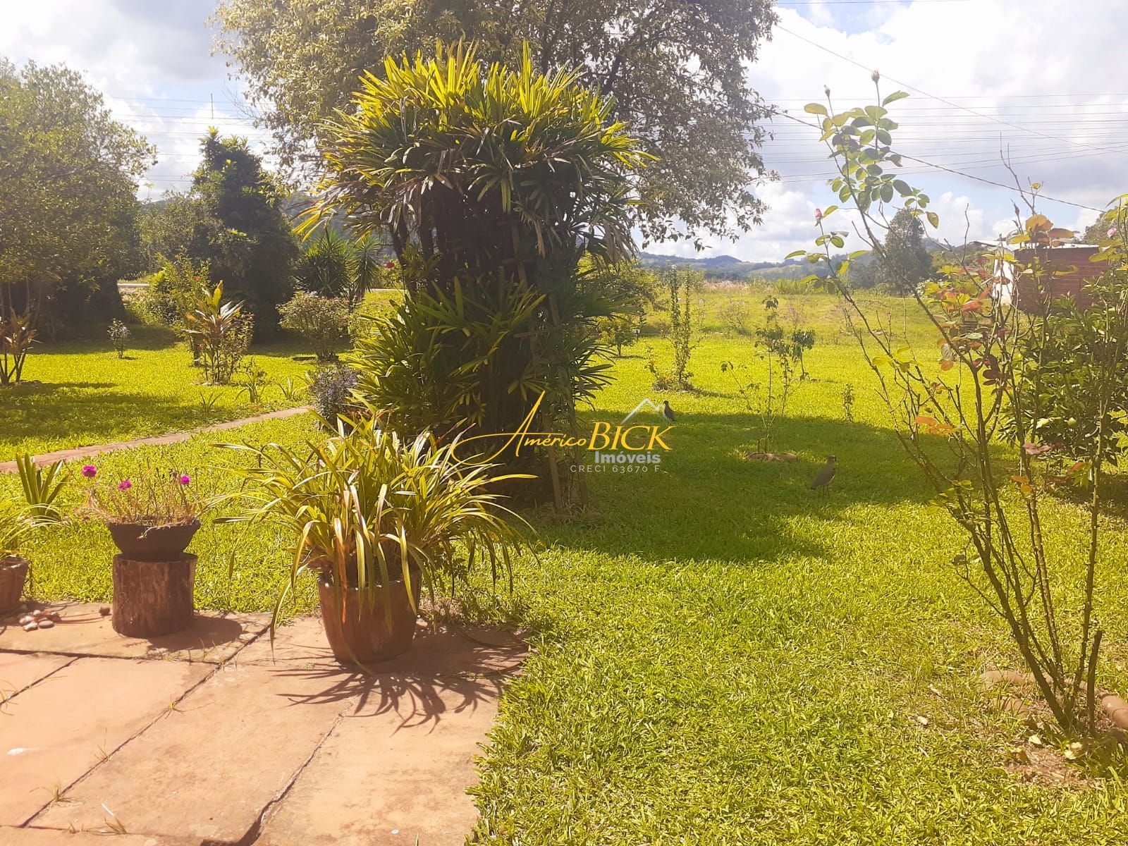 Fazenda à venda com 2 quartos, 167m² - Foto 9