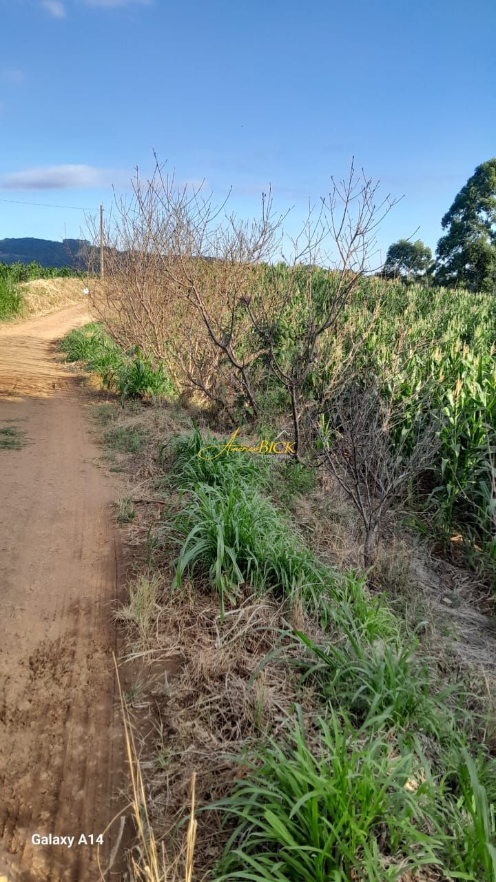 img129581761