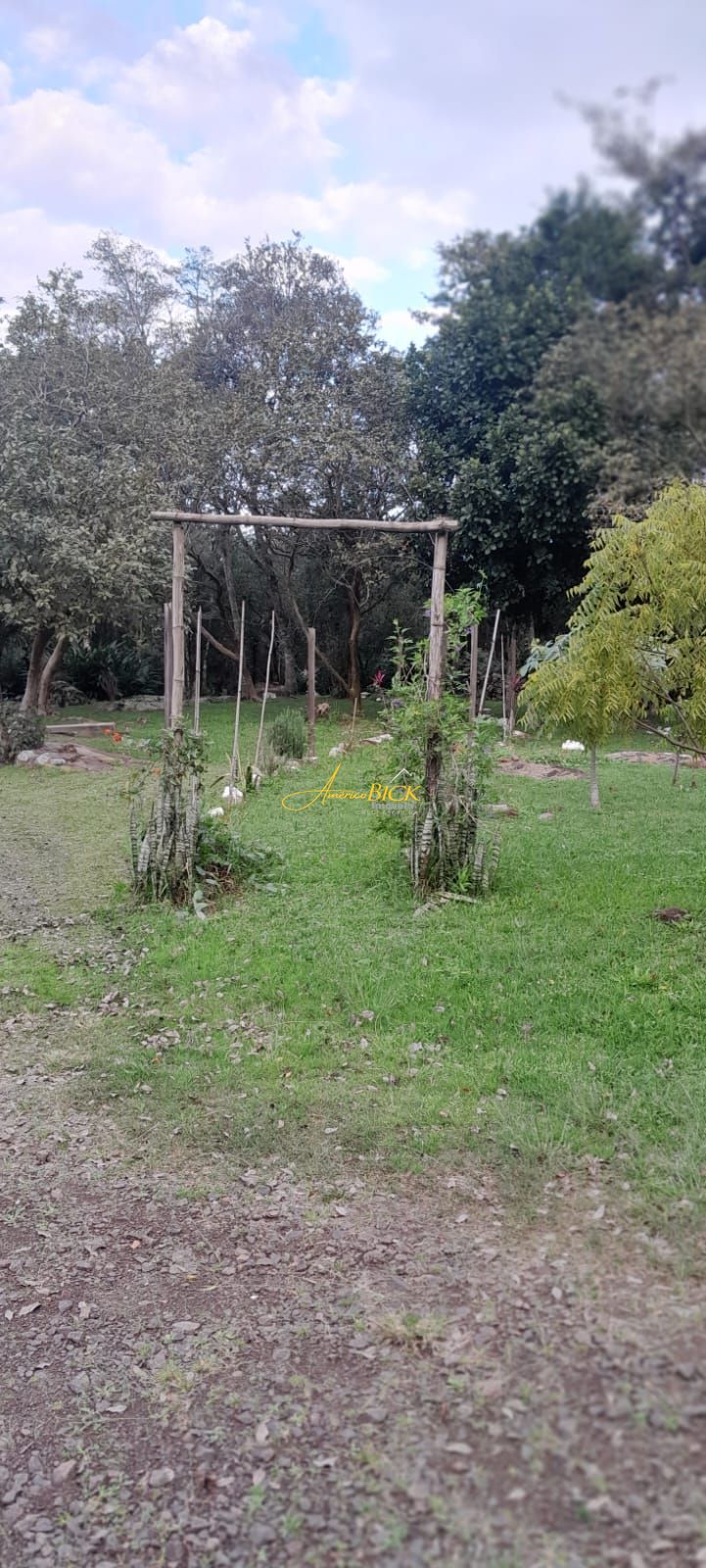 img64485709