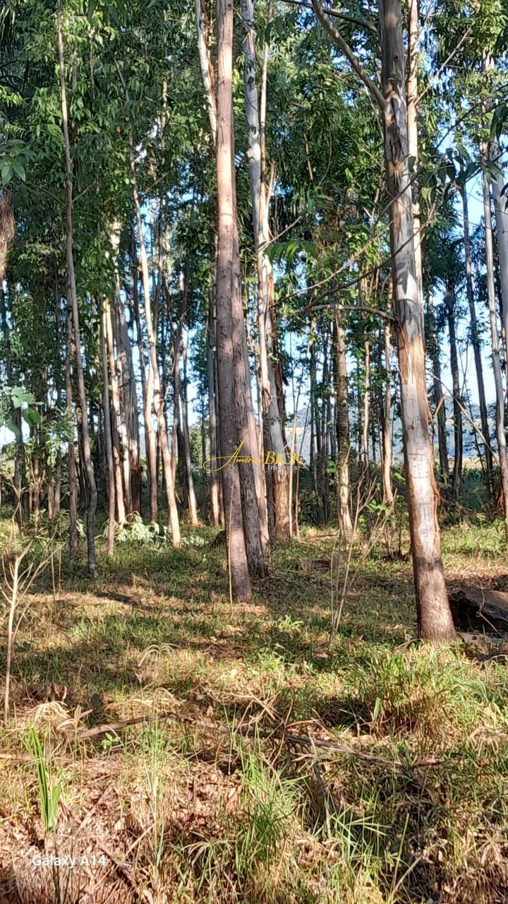 img129581770