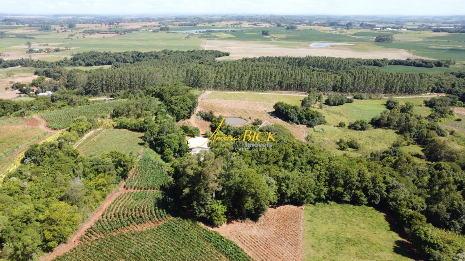 Fazenda à venda com 3 quartos, 150m² - Foto 7
