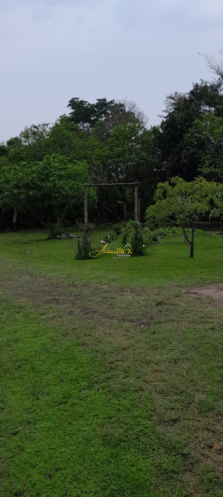 img64485724