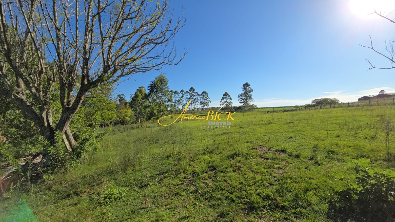 Fazenda à venda com 1 quarto, 280m² - Foto 10