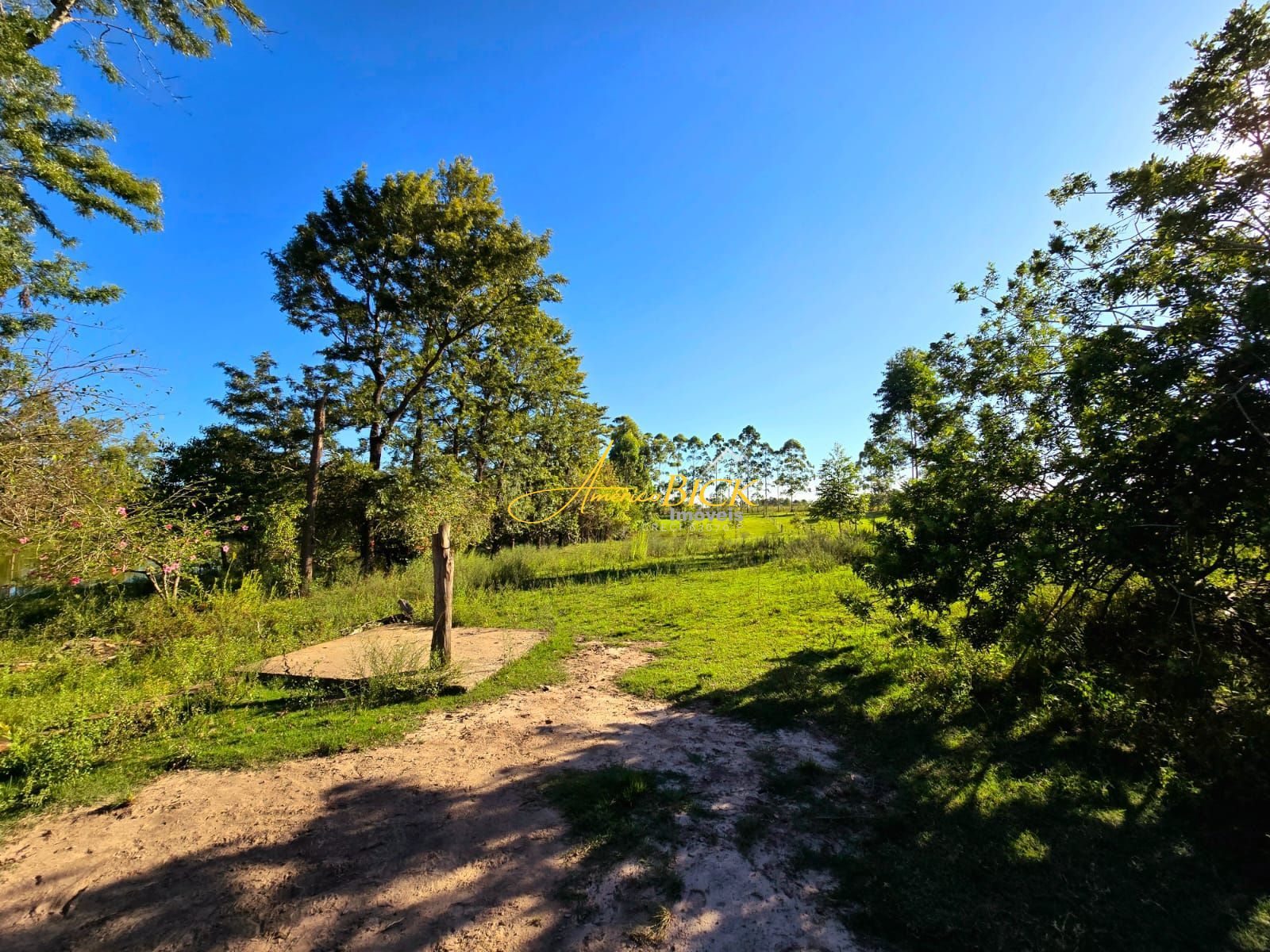 Fazenda à venda com 1 quarto, 280m² - Foto 7