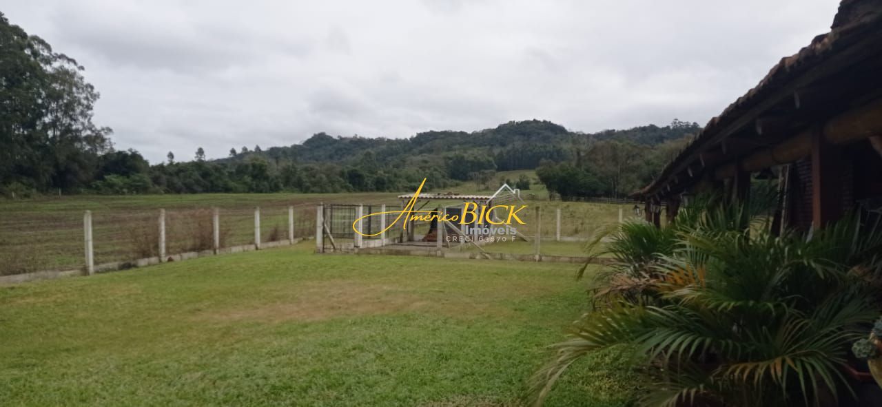 img73322419