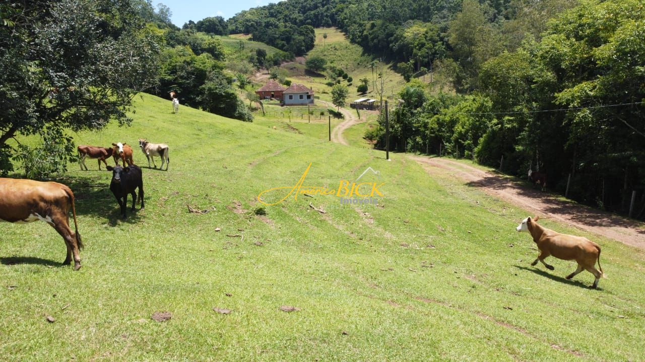 img72863729