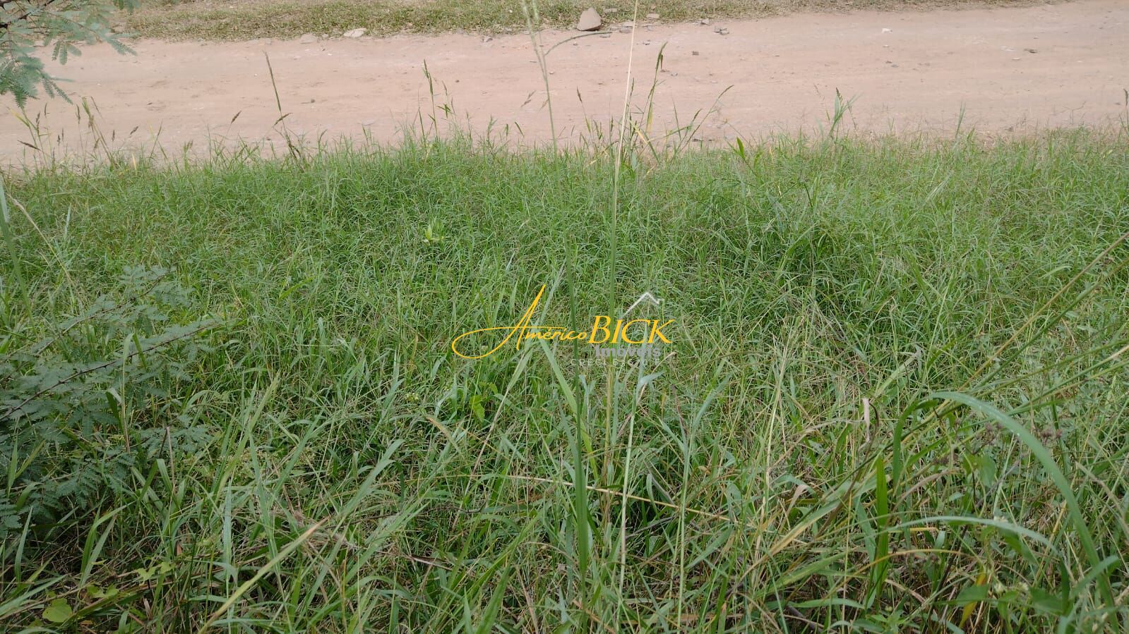 img62166650