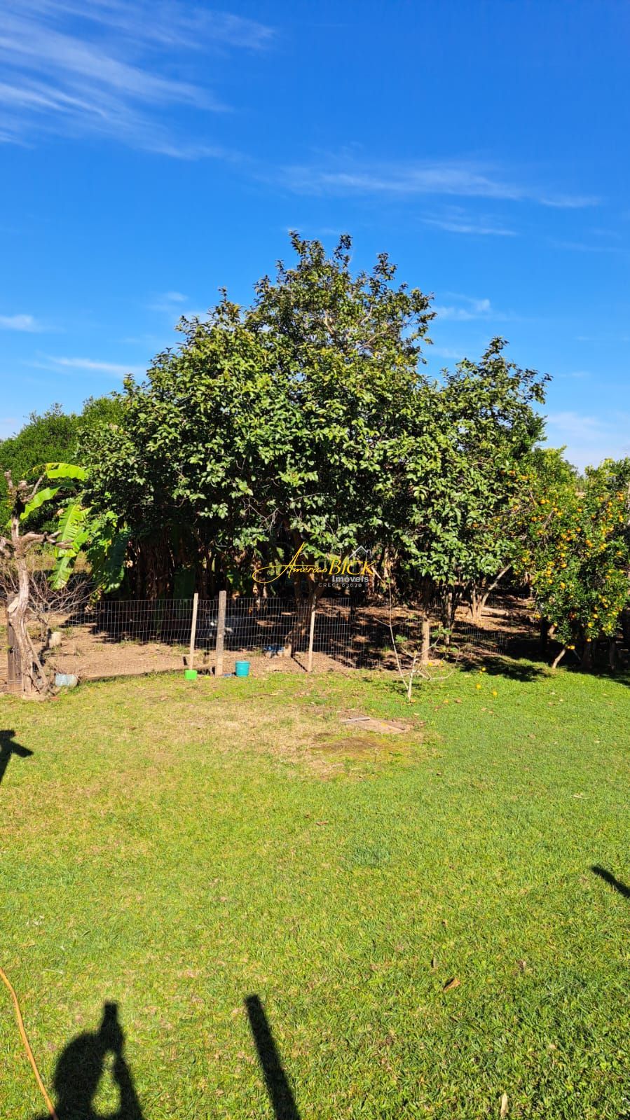 Sítio à venda com 3 quartos, 220m² - Foto 31