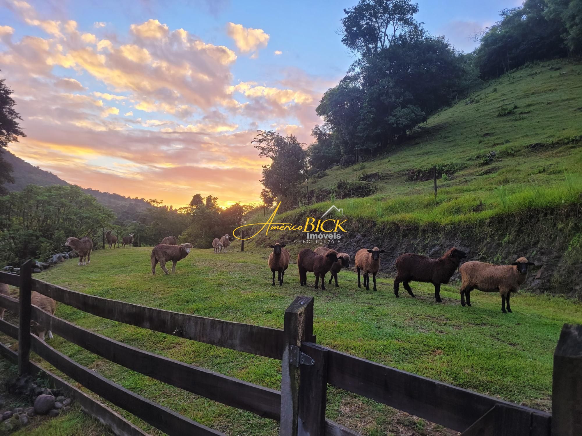 Fazenda/sítio/chácara/haras à venda  no Zona Rural - Sinimbu, RS. Imóveis
