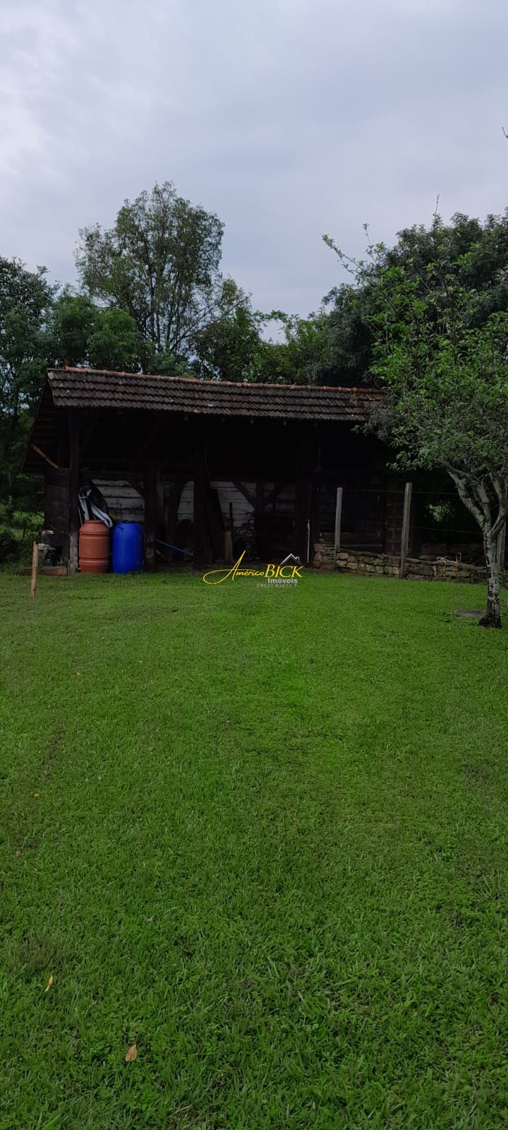 img64485729