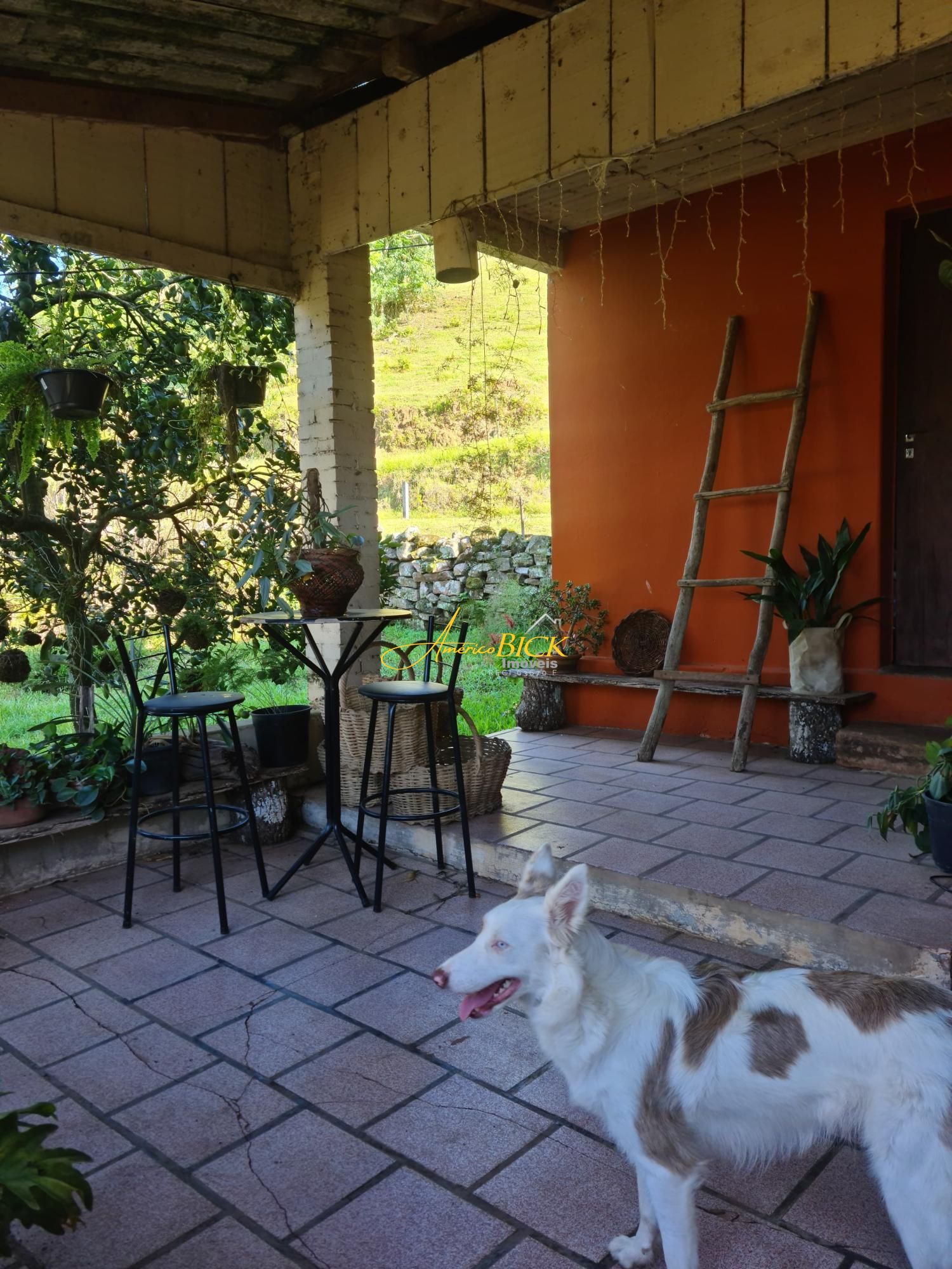 img120593847