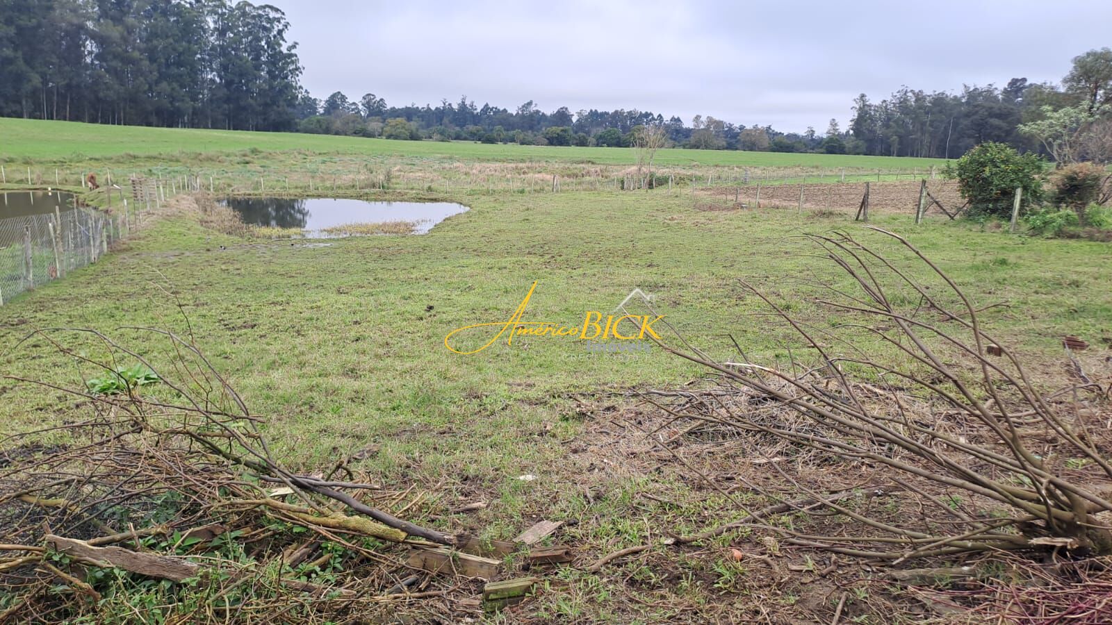 Fazenda à venda com 2 quartos, 2000m² - Foto 11