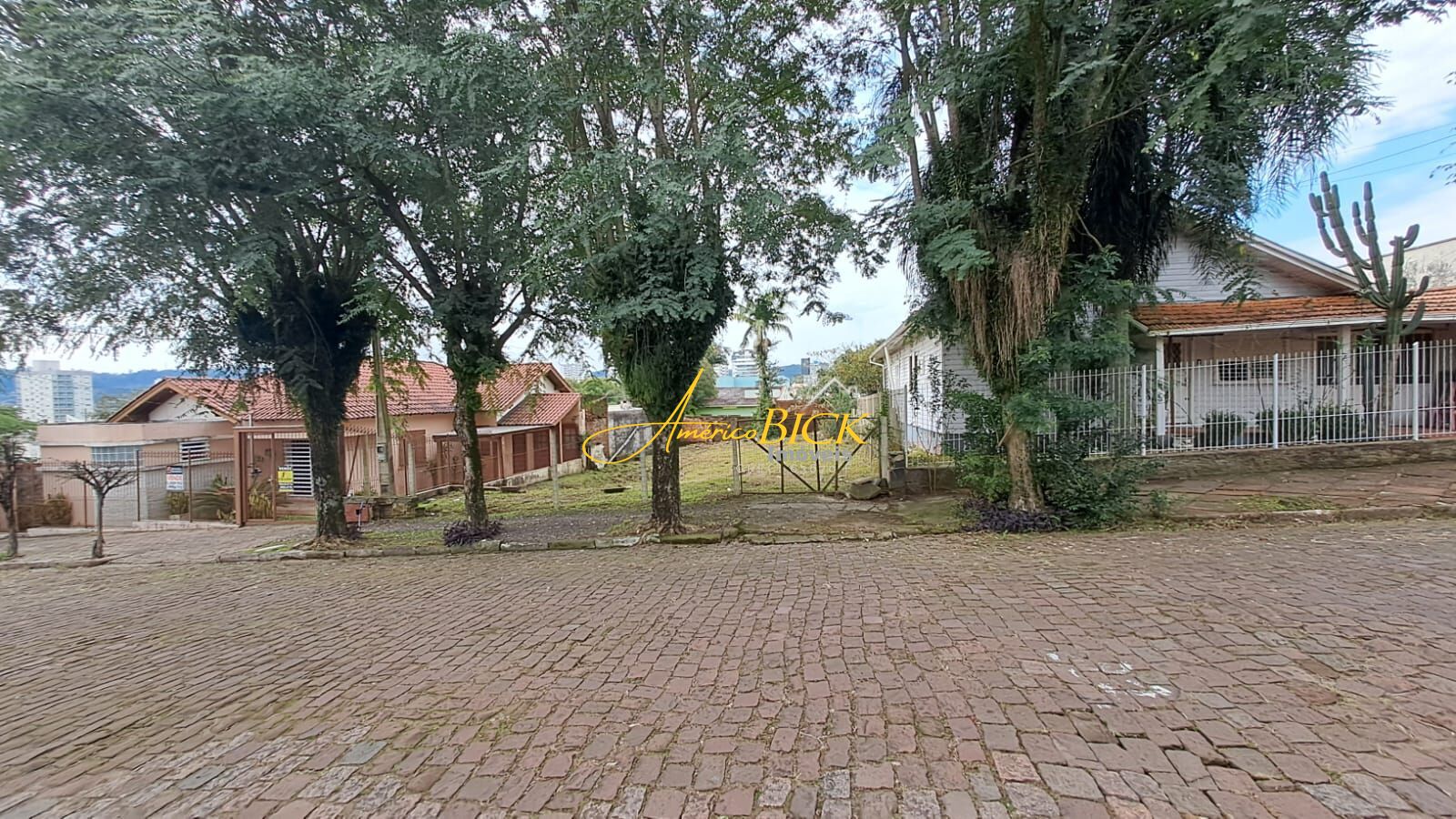 img62164338