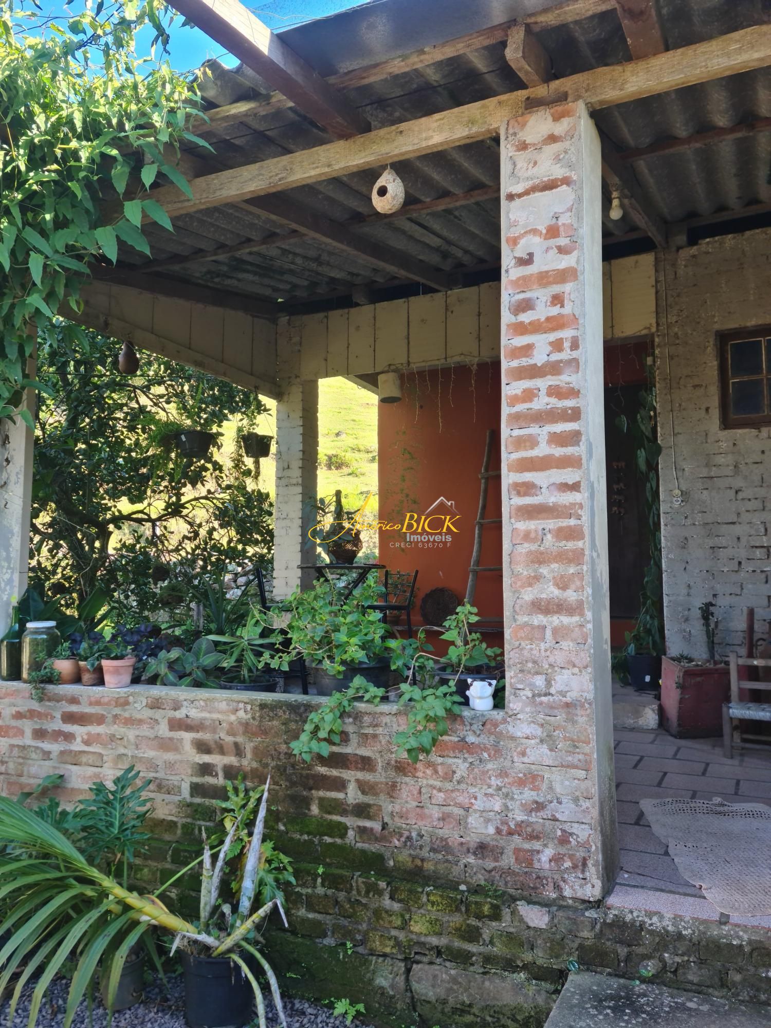 img120593852