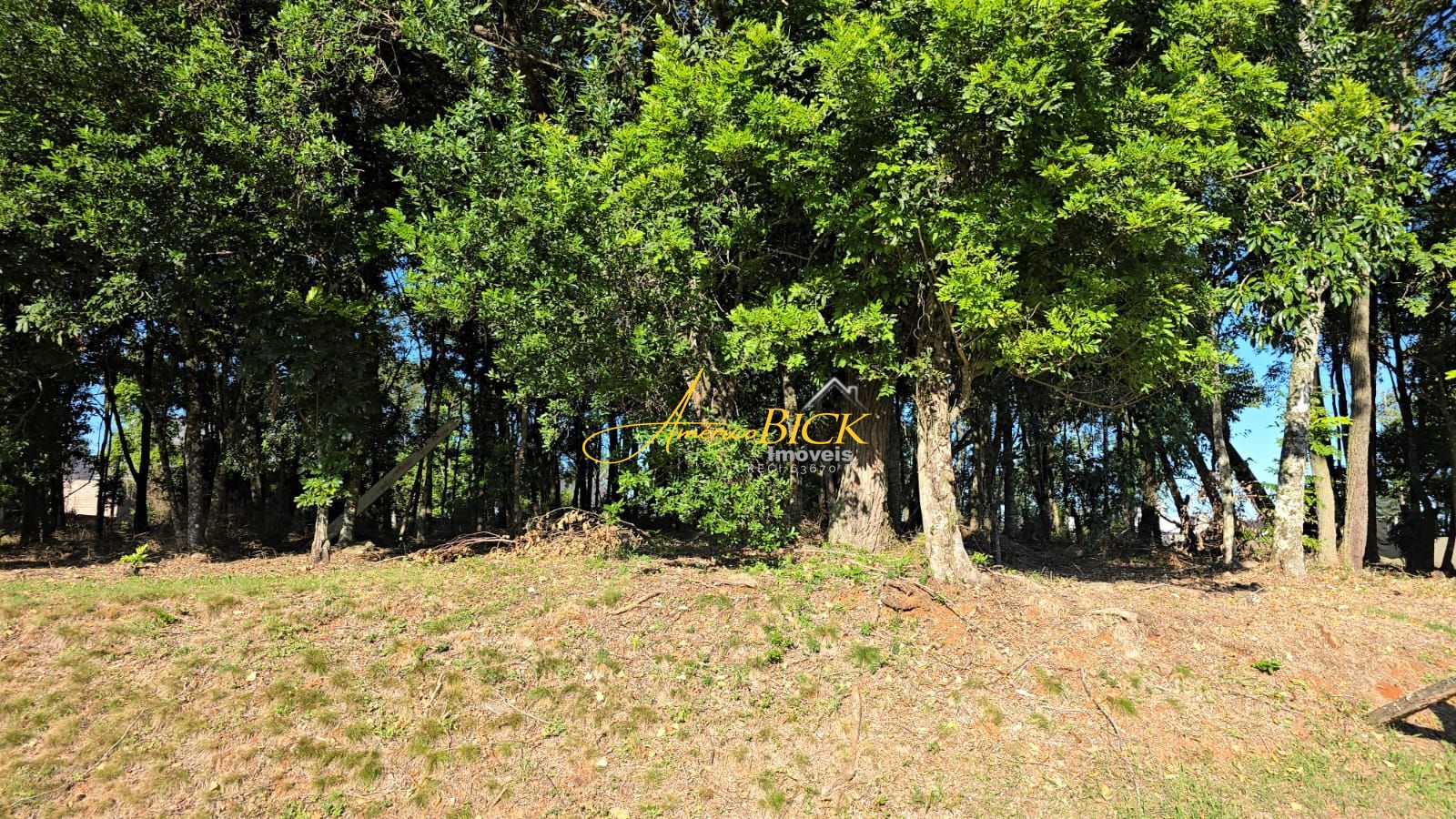 Terreno à venda, 585m² - Foto 9
