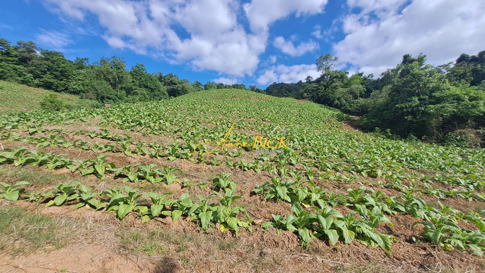 Chácara de 2 quartos, 120m² no bairro Zona rural, em Vale do Sol | Eu Corretor