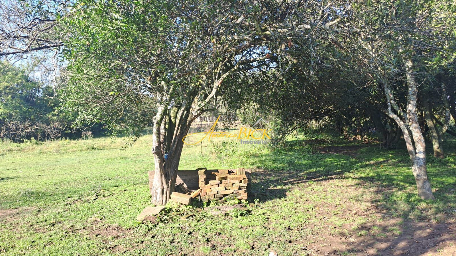 img62159462