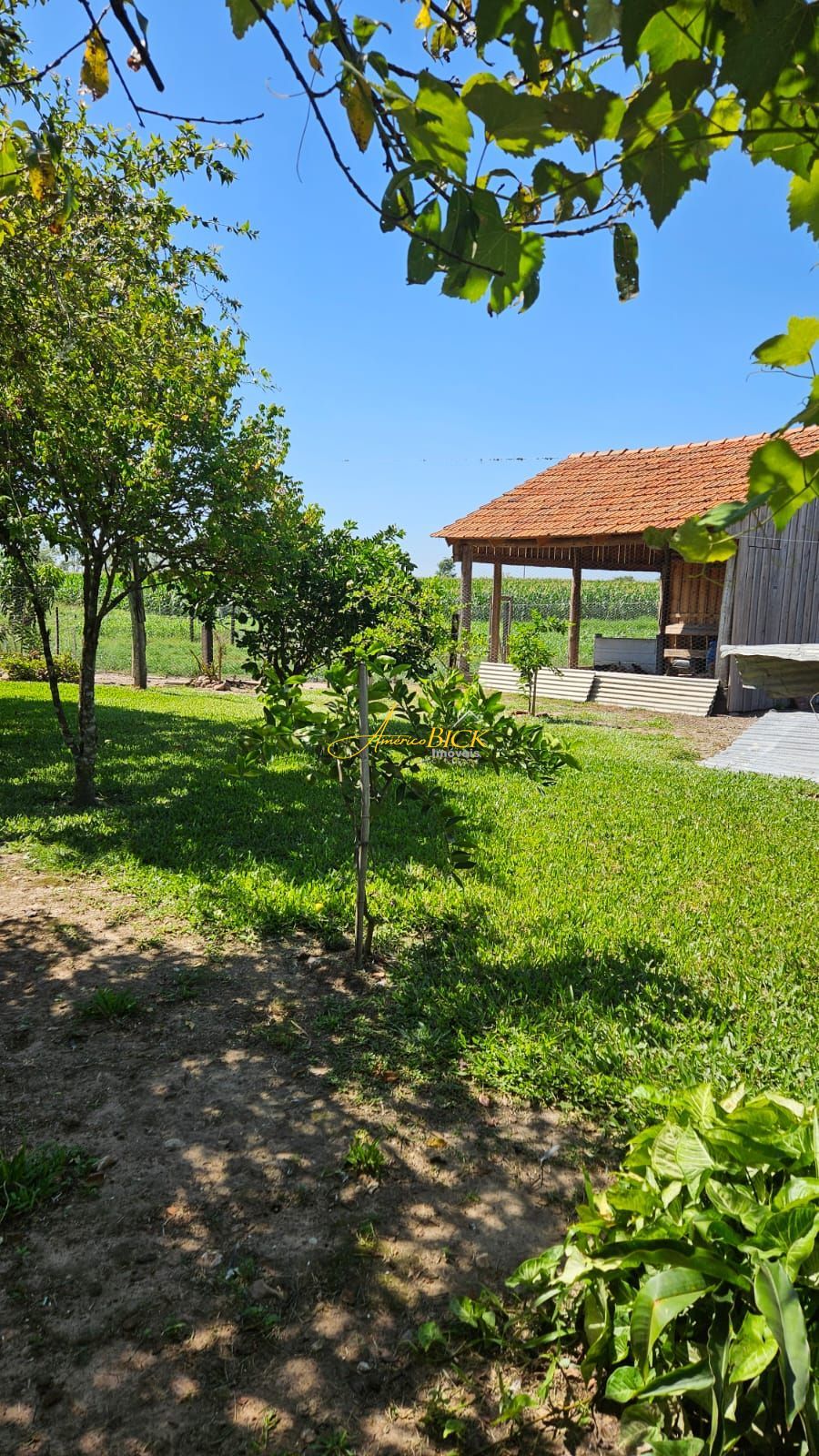 img79358499
