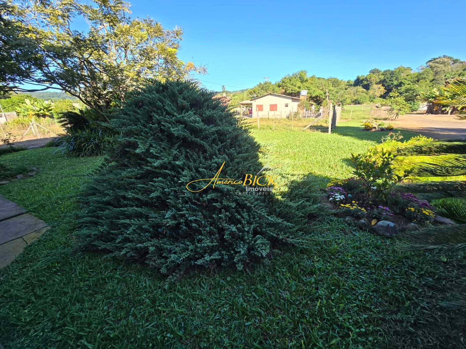 img165189535
