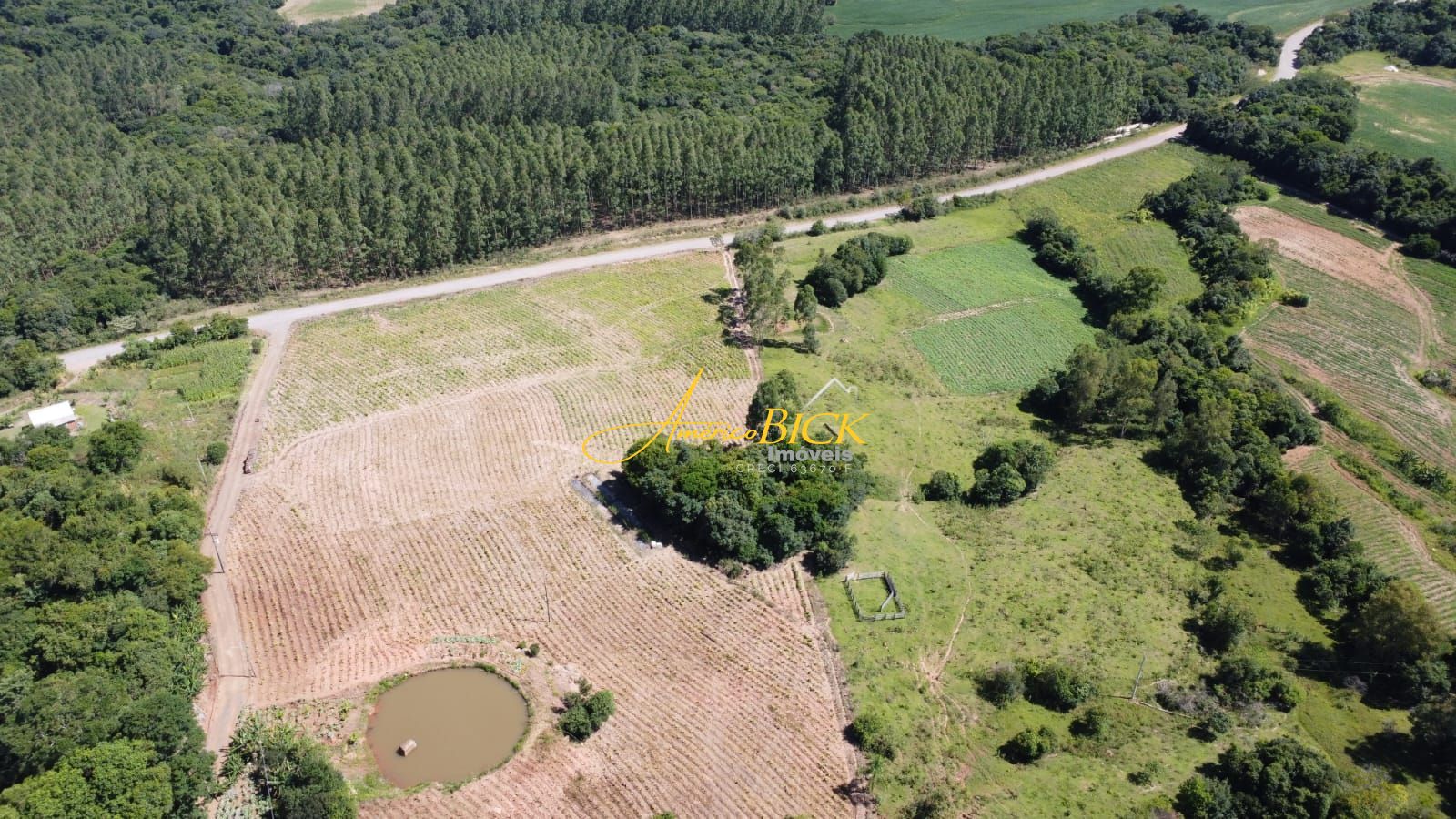 Fazenda à venda com 3 quartos, 150m² - Foto 9