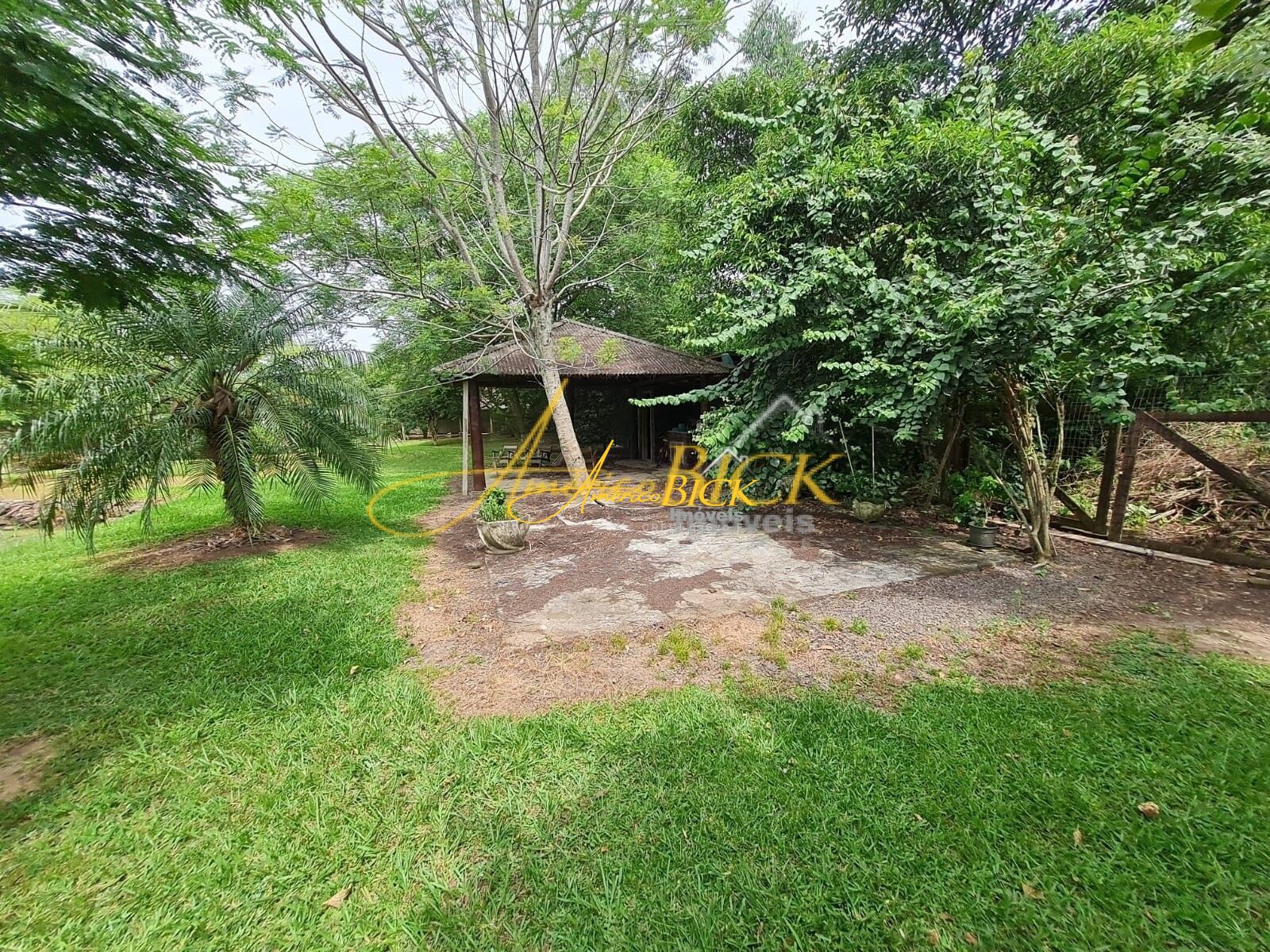 img73352614