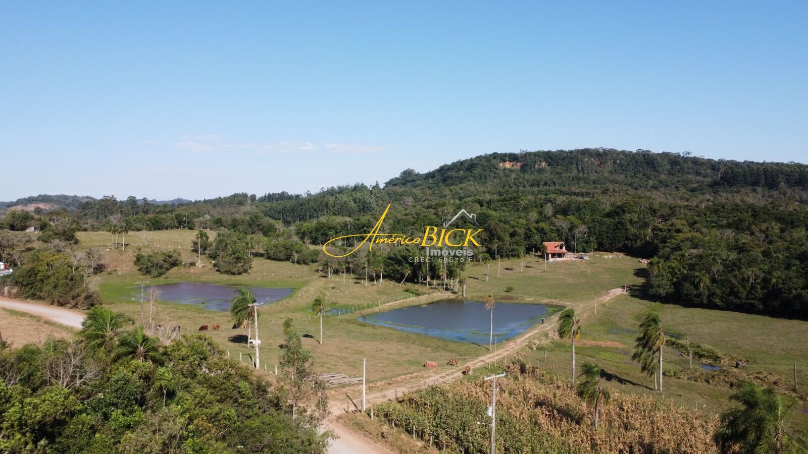 Chácara de 20000m² no bairro Pinheiral, em Santa Cruz do Sul | Eu Corretor