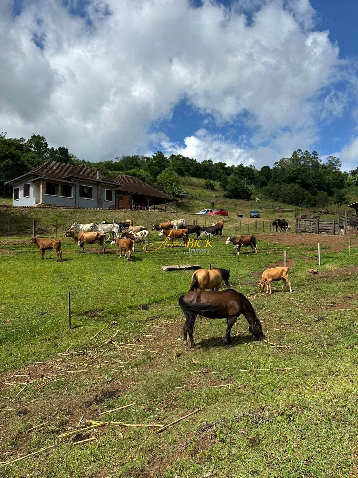 img72887302