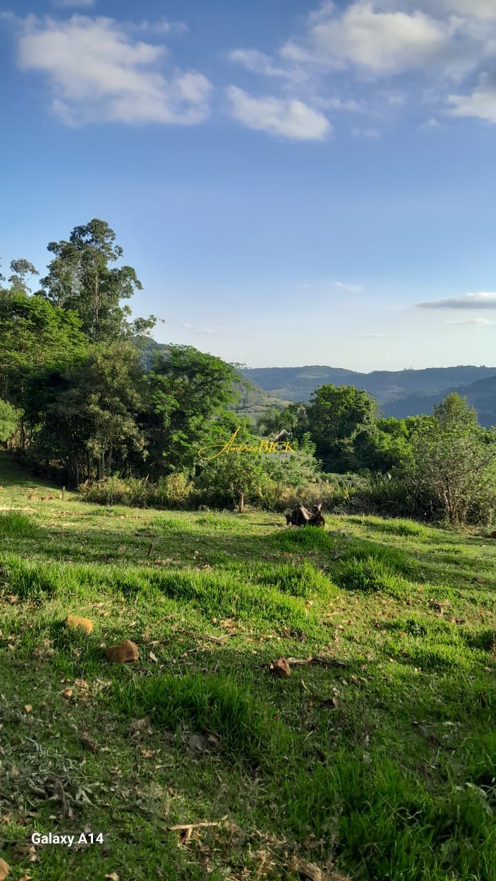 img129581759