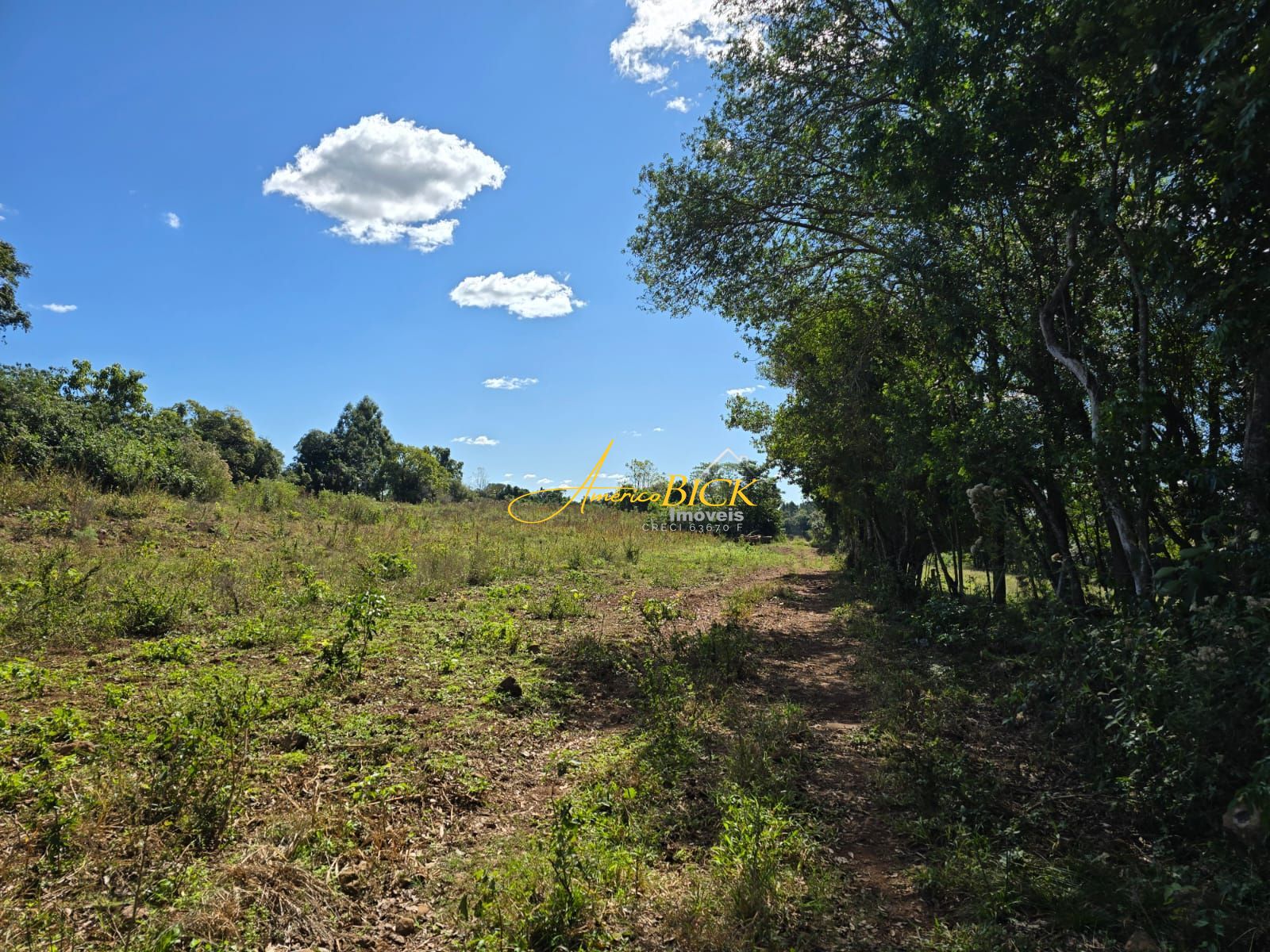 img164982388