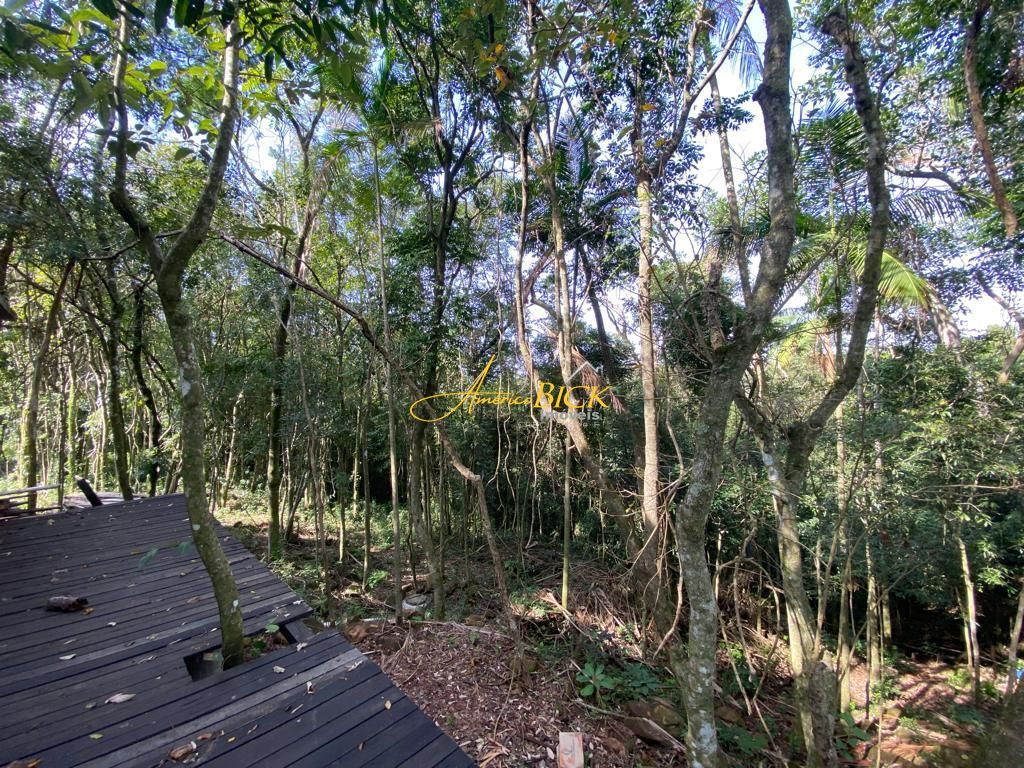 img73313327