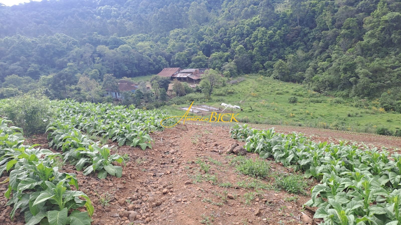 img73303053
