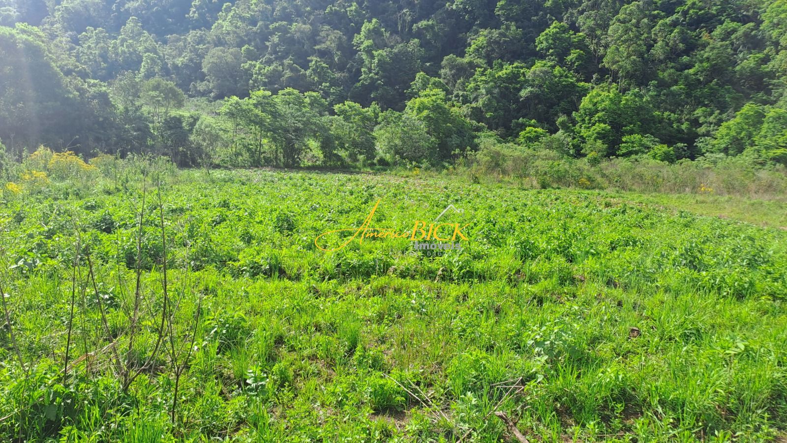 Fazenda/sítio/chácara/haras à venda  no Zona Rural - Vale do Sol, RS. Imóveis