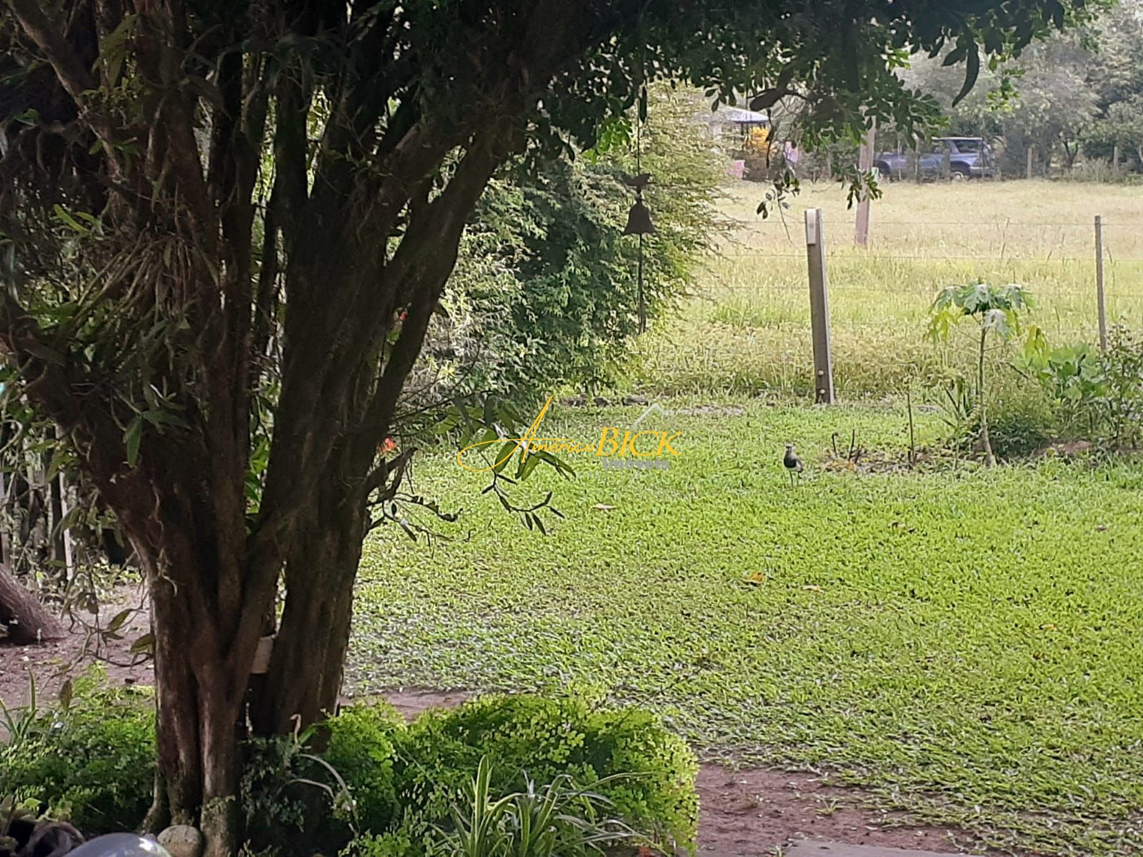 Fazenda à venda com 2 quartos, 167m² - Foto 3