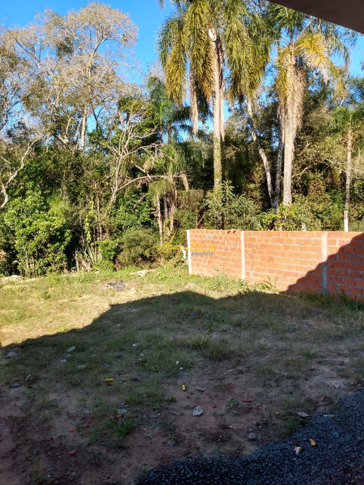 img62162213