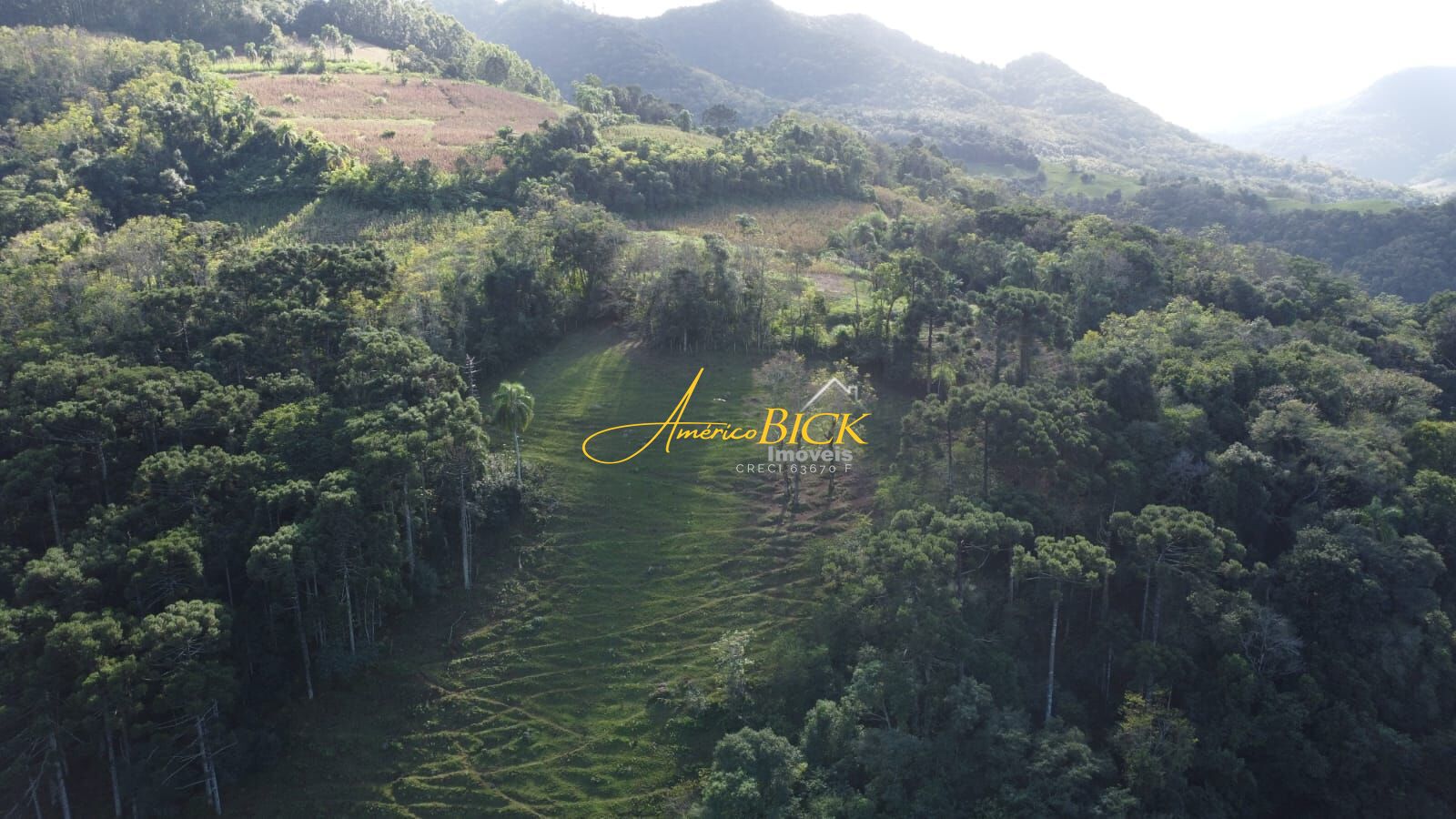 Fazenda à venda com 3 quartos, 16800m² - Foto 10