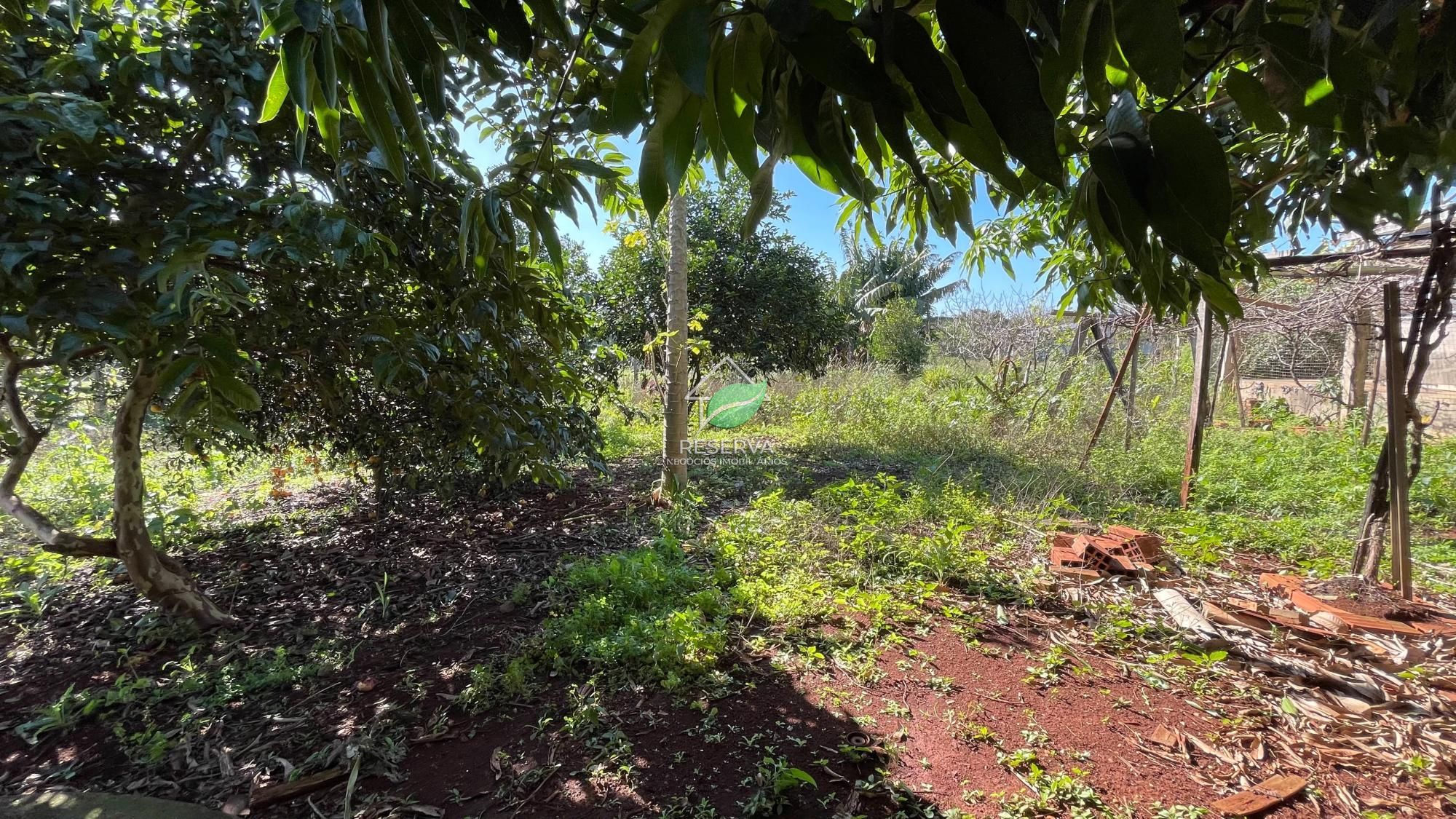 Chácara 2 dormitórios à venda Área Rural Distrito de São José do Itavó Itaipulândia/PR