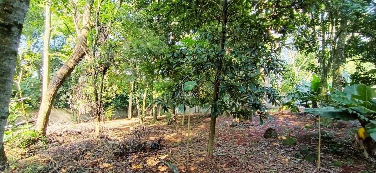 CHÁCARA TERRA FOZ À VENDA — UM VERDADEIRO PARAÍSO EM FOZ DO IGUAÇU