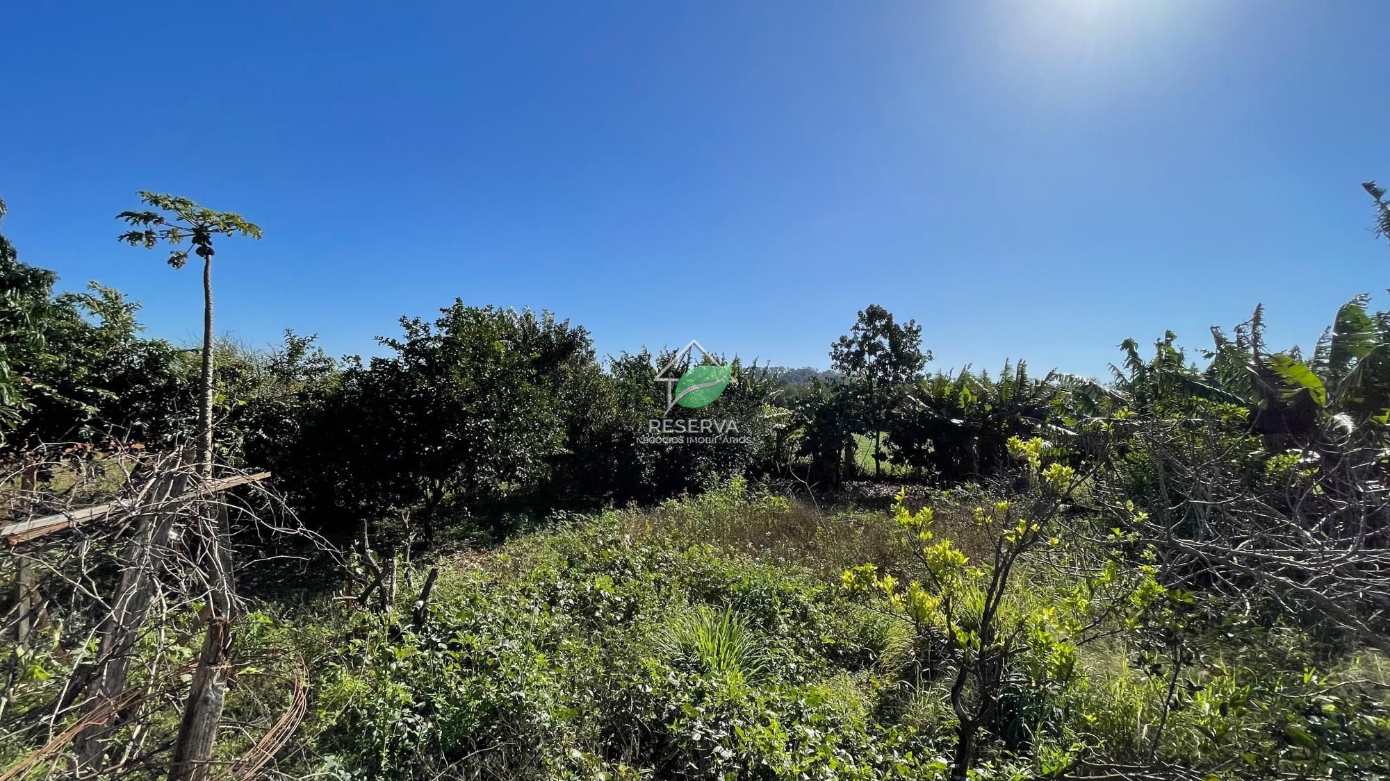 Chácara 2 dormitórios à venda Área Rural Distrito de São José do Itavó Itaipulândia/PR