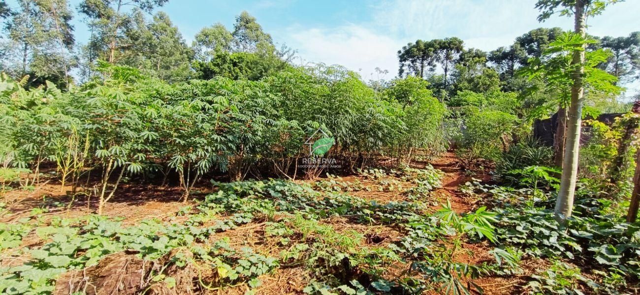 CHÁCARA TERRA FOZ À VENDA — UM VERDADEIRO PARAÍSO EM FOZ DO IGUAÇU