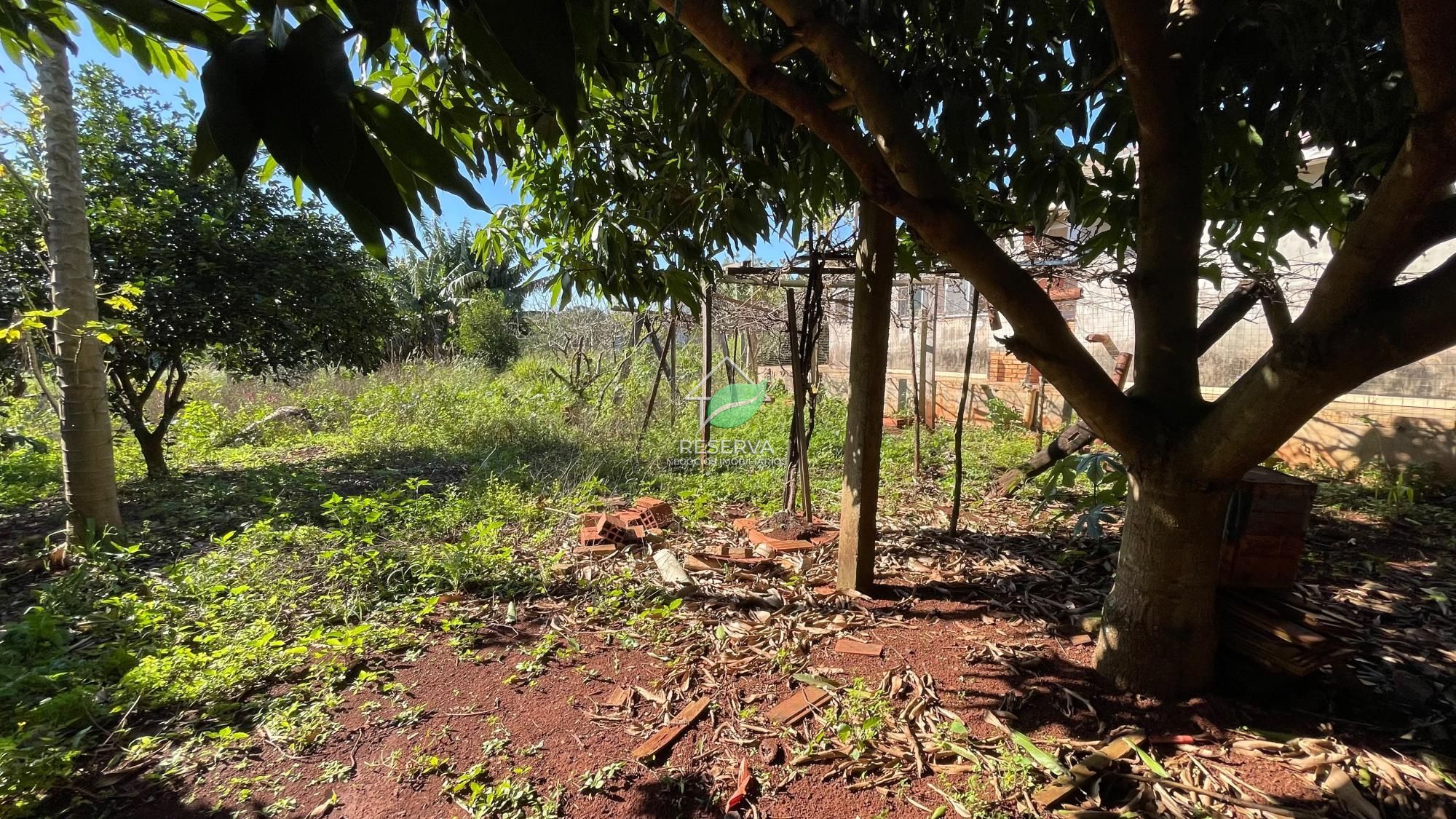 Chácara 2 dormitórios à venda Área Rural Distrito de São José do Itavó Itaipulândia/PR