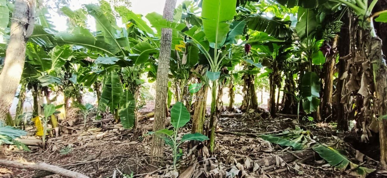 CHÁCARA TERRA FOZ À VENDA — UM VERDADEIRO PARAÍSO EM FOZ DO IGUAÇU