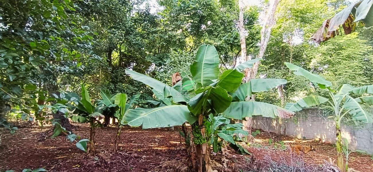 CHÁCARA TERRA FOZ À VENDA — UM VERDADEIRO PARAÍSO EM FOZ DO IGUAÇU